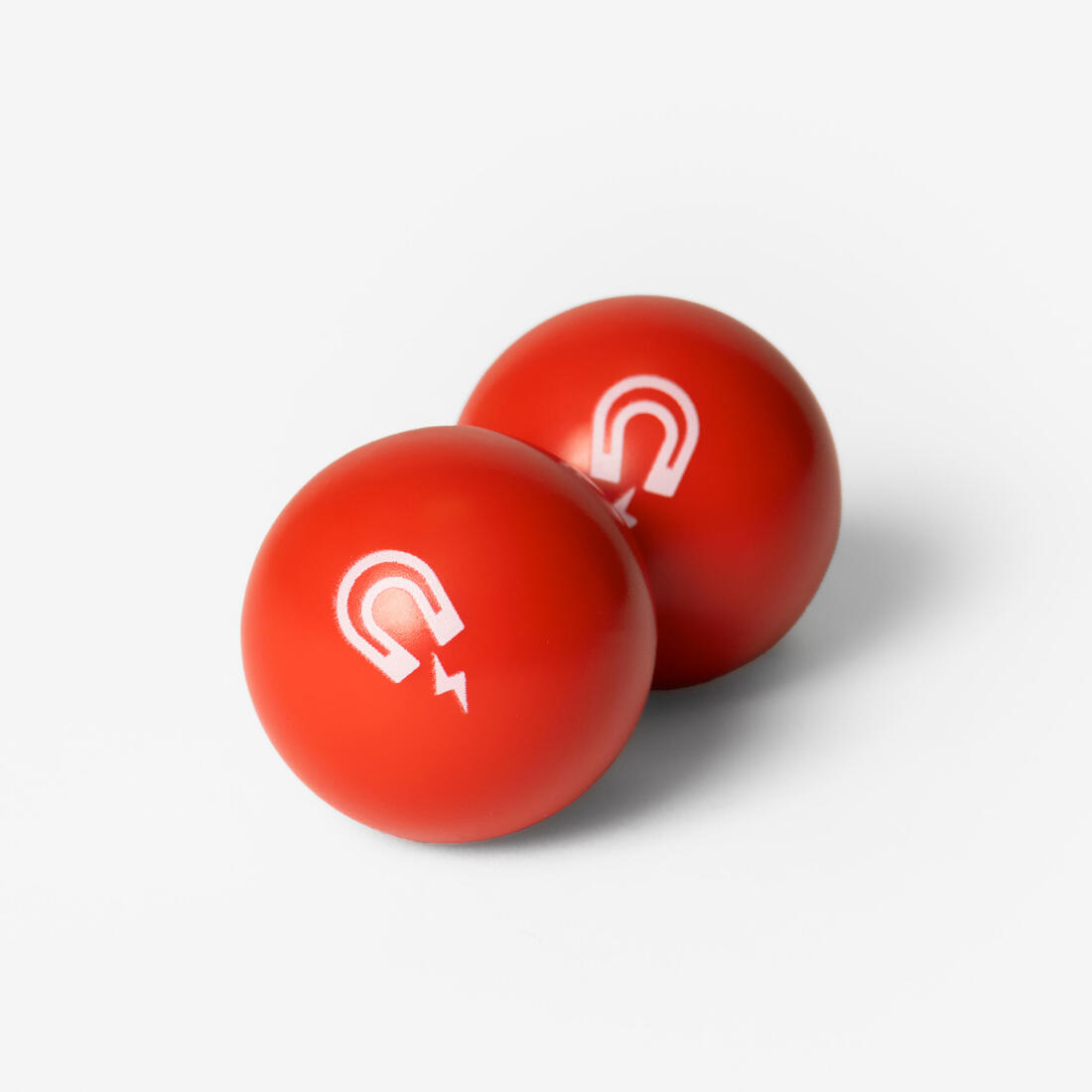 2 COCHONNETS MAGNÉTIQUES COMPATIBLES RAMASSE BOULE