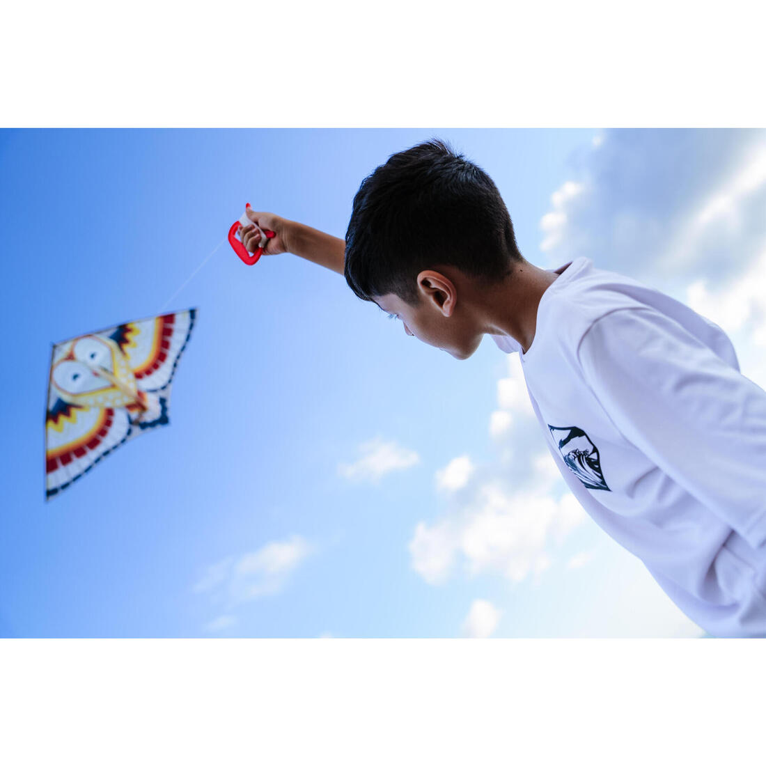 Cerf-volant statique Enfant - MFK 100 Perroquet
