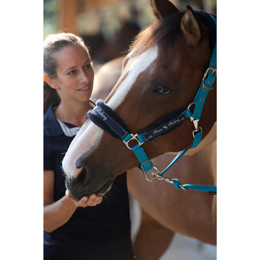 Pack licol + longe équitation cheval et poney WINNER
