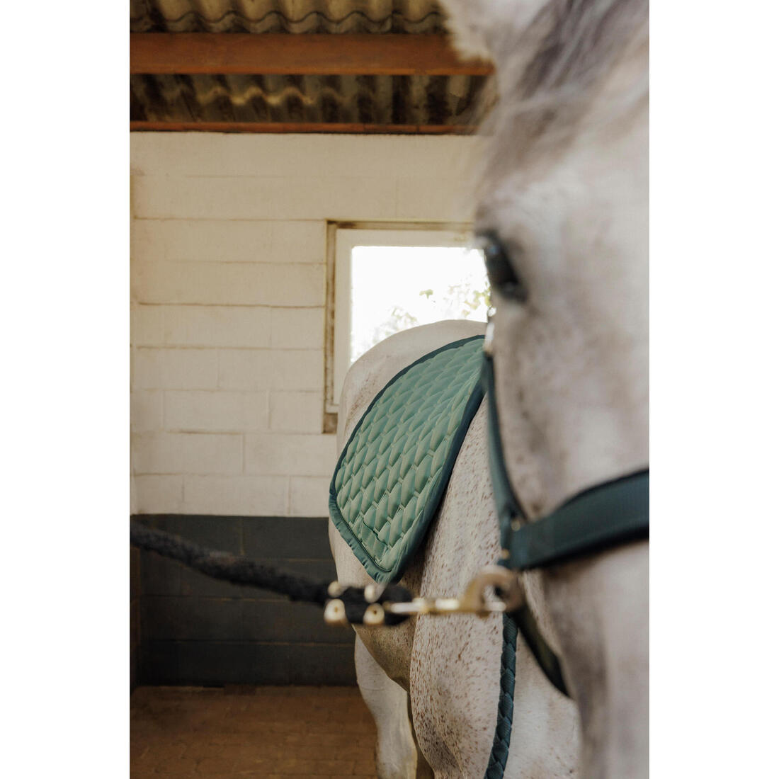 Tapis de selle équitation cheval - 500