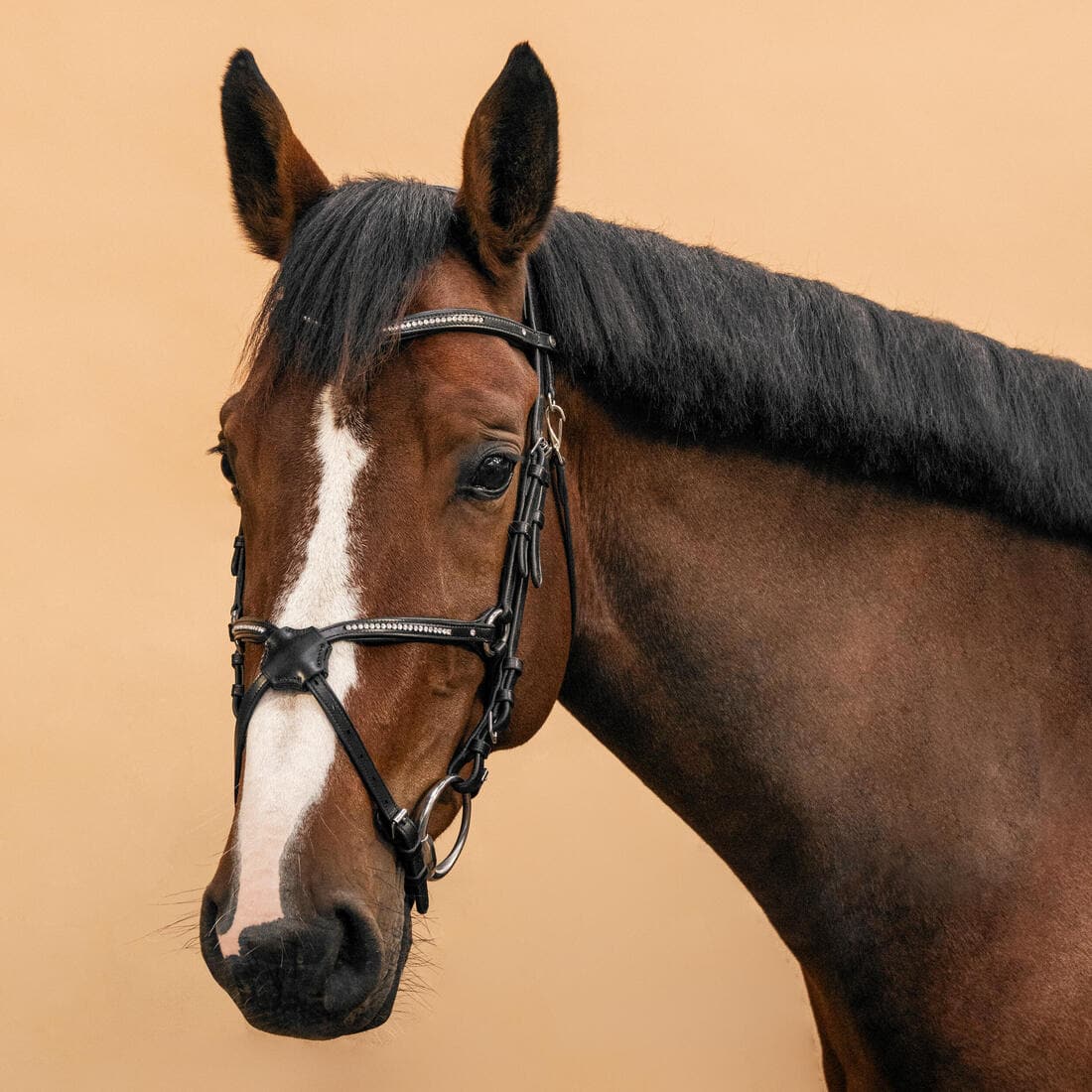 Filet équitation cuir muserolle croisée strass Cheval et Poney - 580 noir