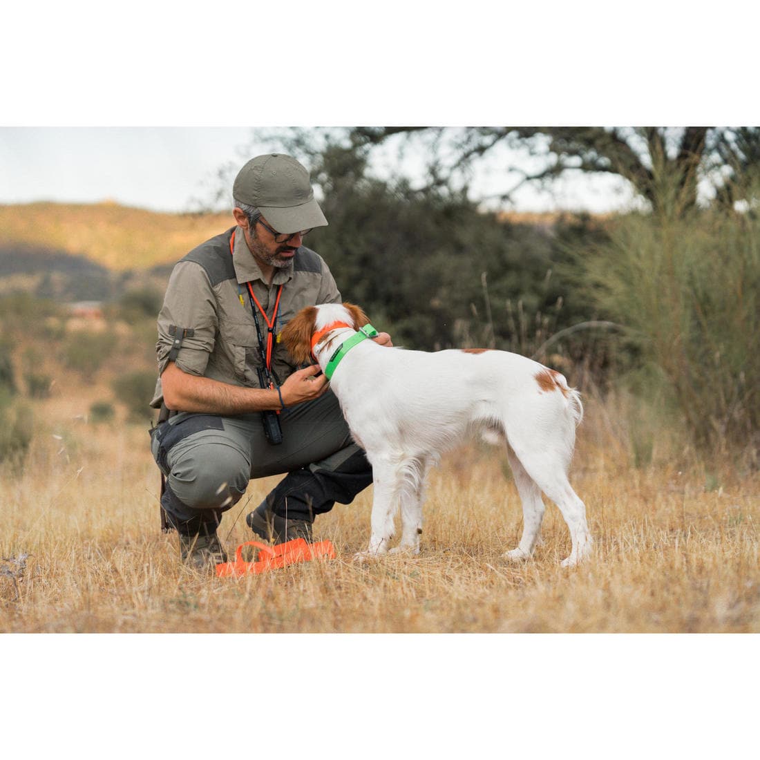 Collier chien Jaune fluo 500