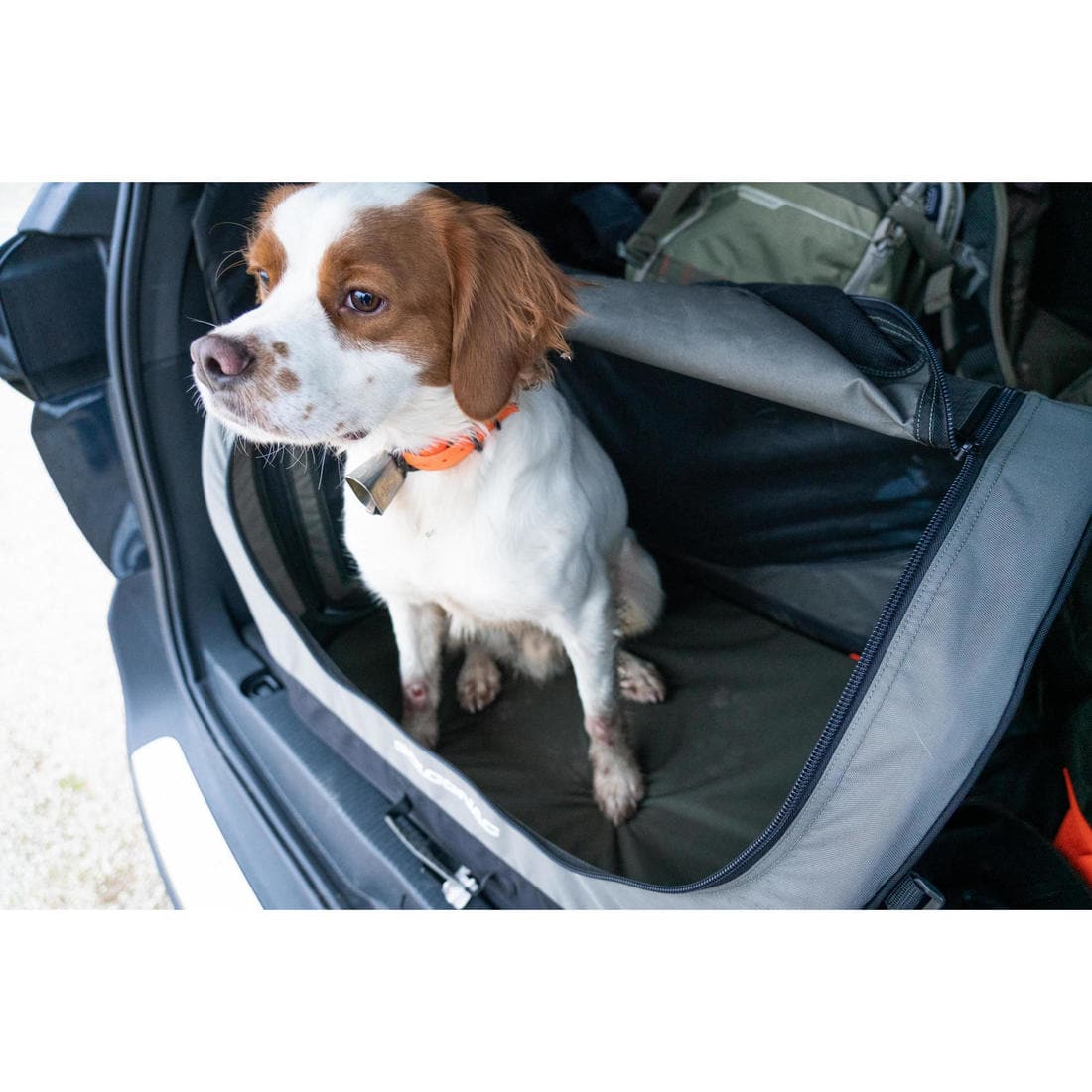 Caisse de transport pliable pour 1 chien