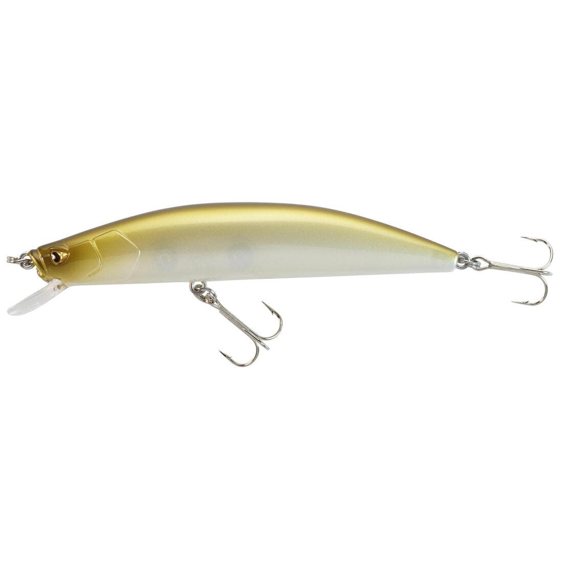 POISSON NAGEUR JERKBAIT MINNOW PÊCHE AUX LEURRES MNWFP 100 F