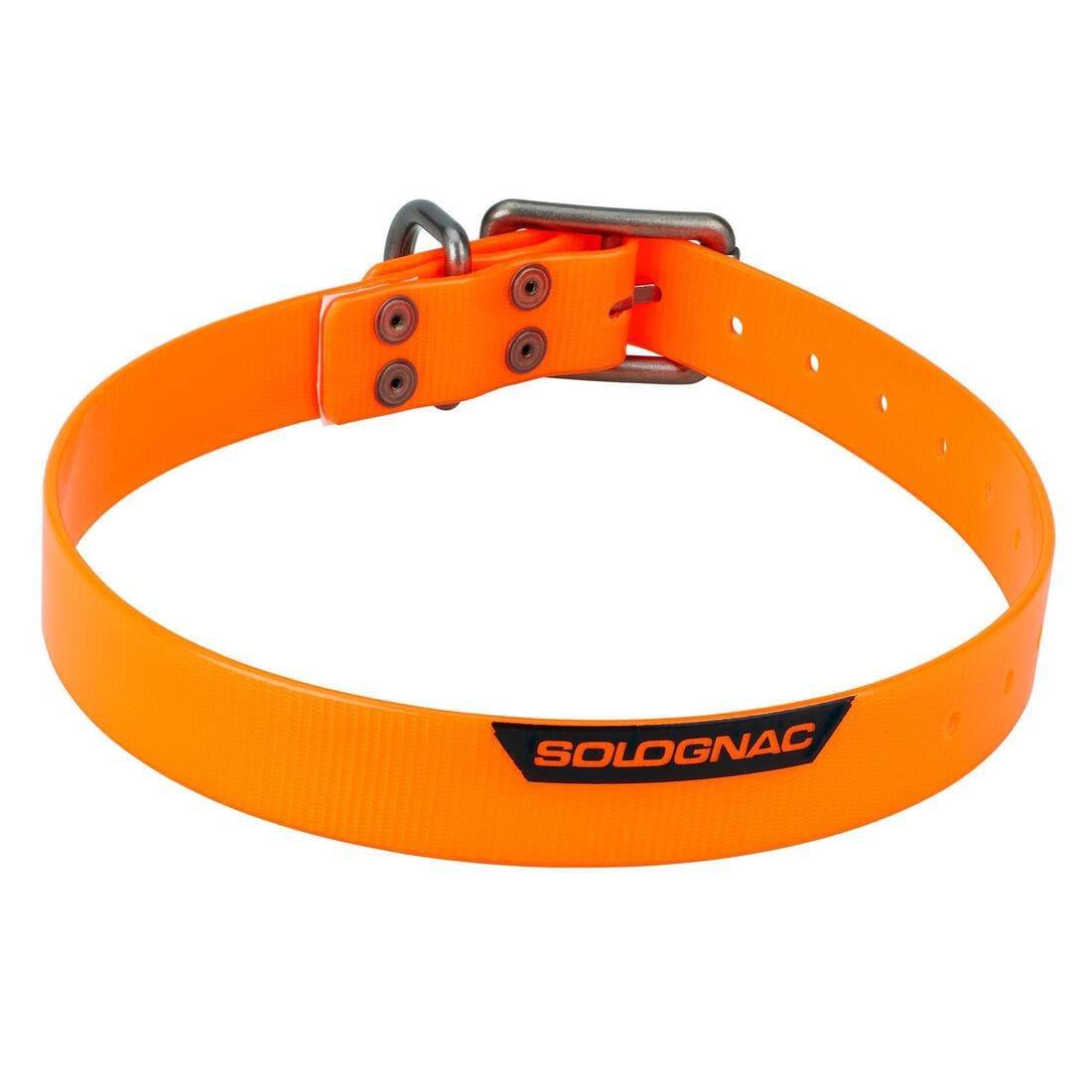 Collier chien Jaune fluo 500