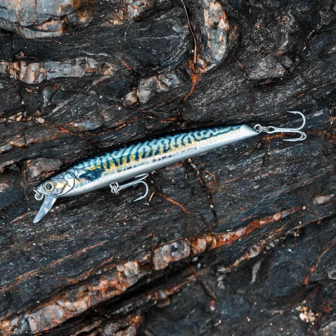 Poisson nageur SAXTON 110F au leurre en mer