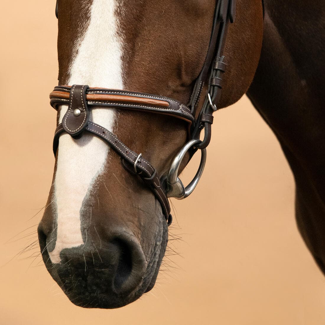 Filet équitation cuir muserolle française surpiqué Cheval et poney - 580 marron