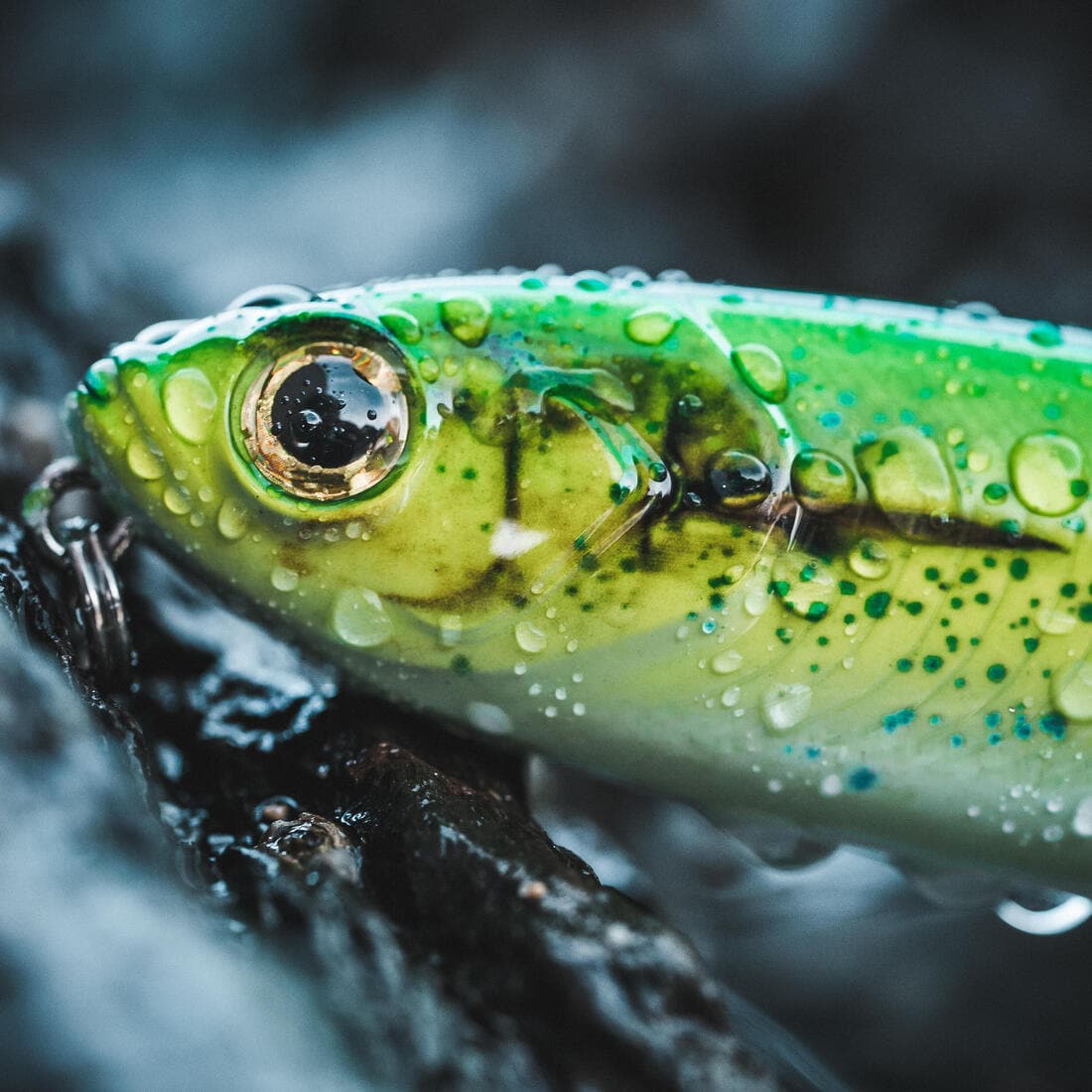 Poisson nageur WIZDOM 110F Mahimahi au leurre en mer