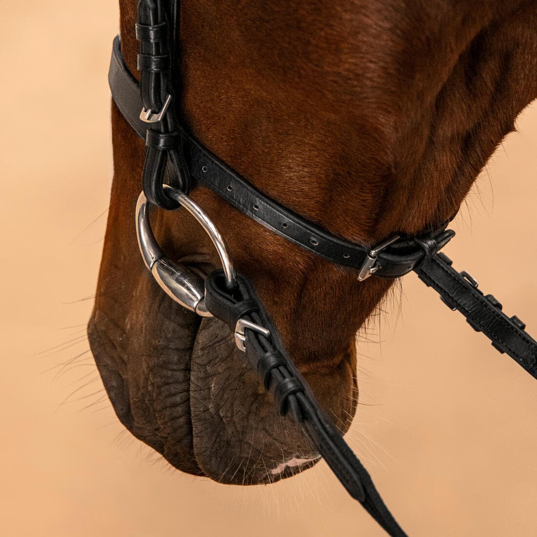 Filet et rênes équitation cuir muserolle française Cheval et Poney - 100 noir