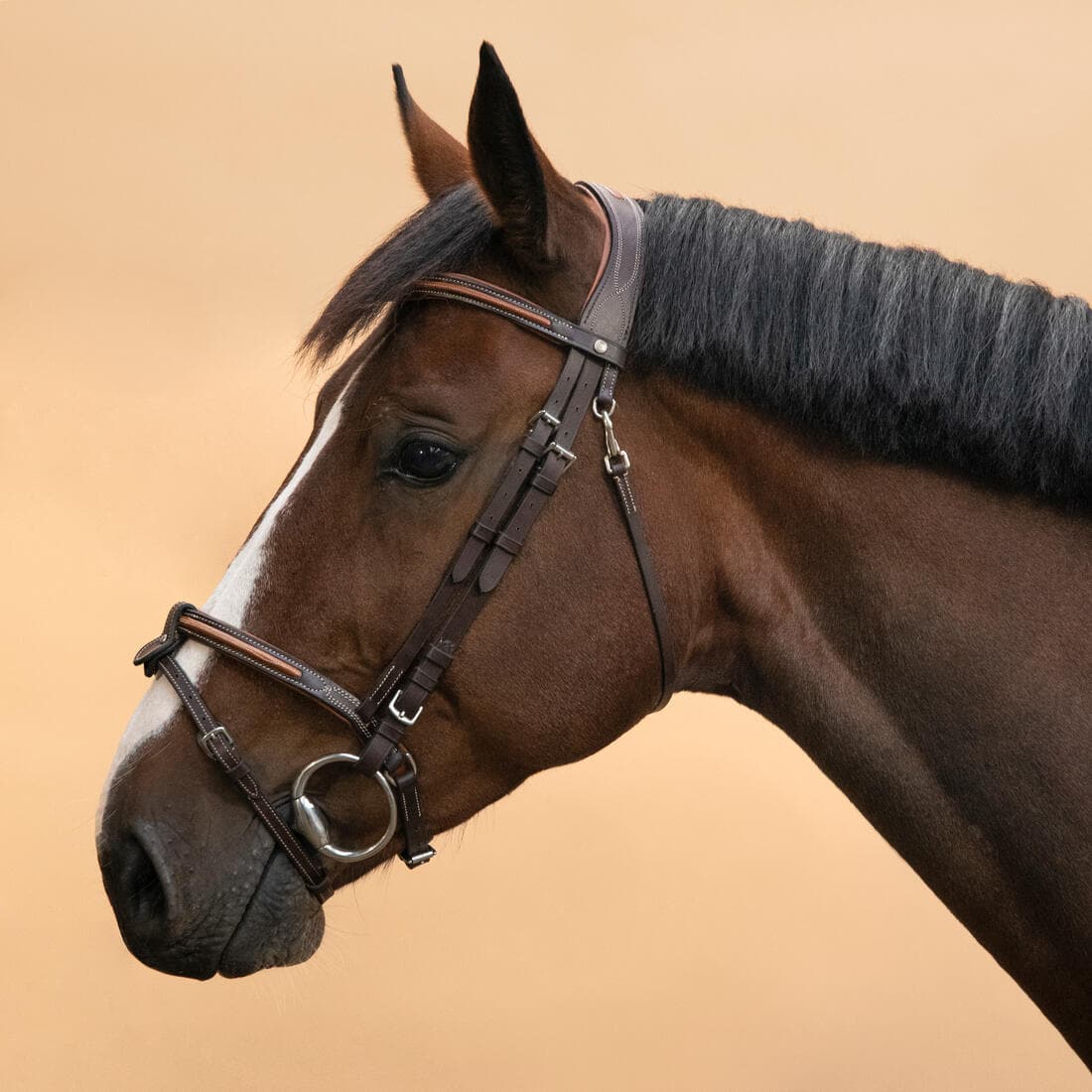 Filet équitation cuir muserolle française surpiqué Cheval et poney - 580 marron