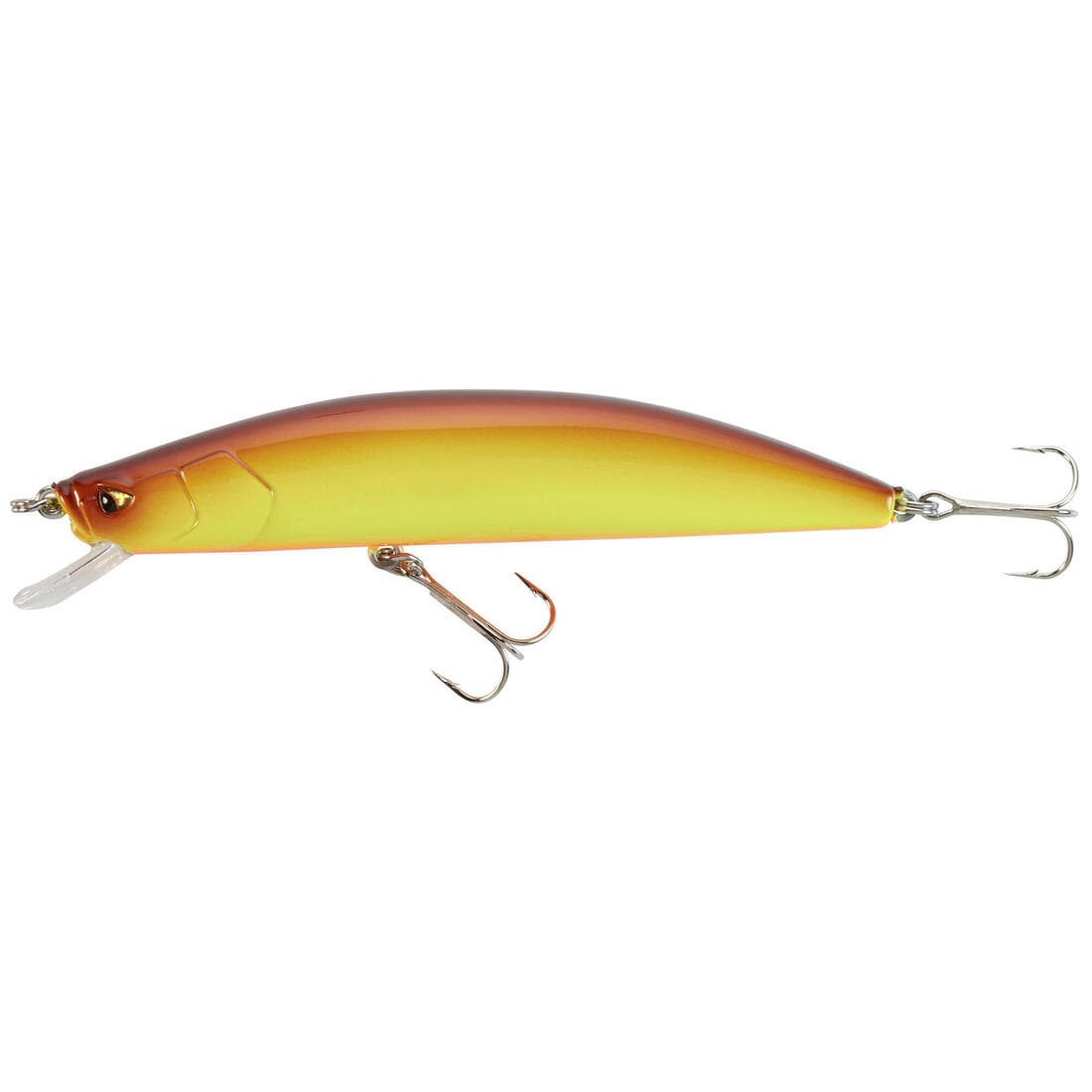 POISSON NAGEUR JERKBAIT MINNOW PÊCHE AUX LEURRES MNWFP 100 F