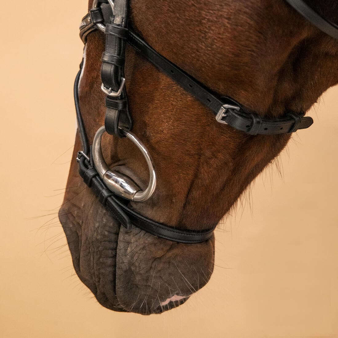 Filet équitation cuir muserolle croisée strass Cheval et Poney - 580 noir