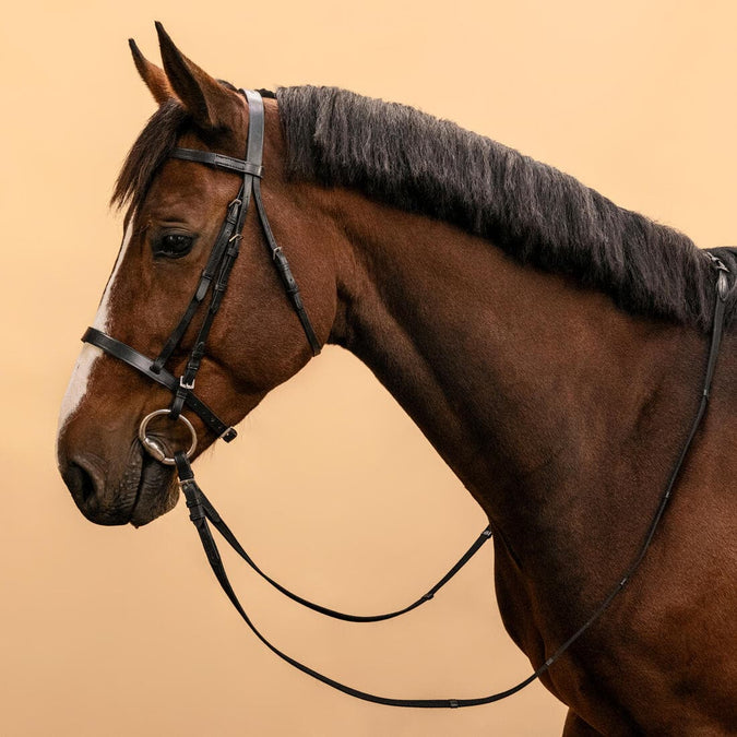 





Filet et rênes équitation cuir muserolle française Cheval et Poney - 100 noir, photo 1 of 21