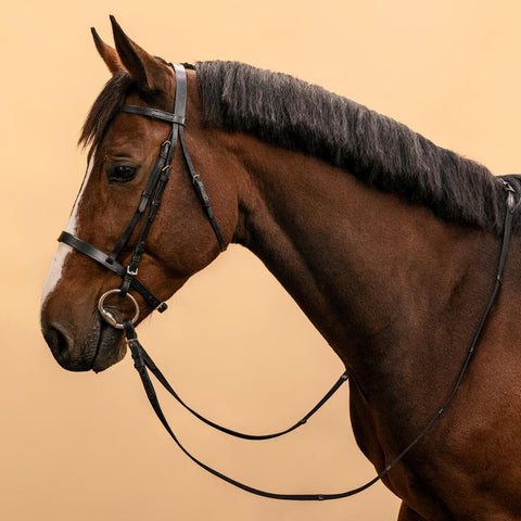 





Filet et rênes équitation cuir muserolle française Cheval et Poney - 100 noir