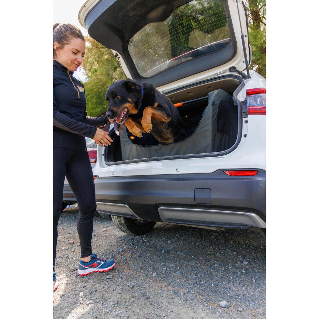 Caisse de transport pliable pour 1 chien grise