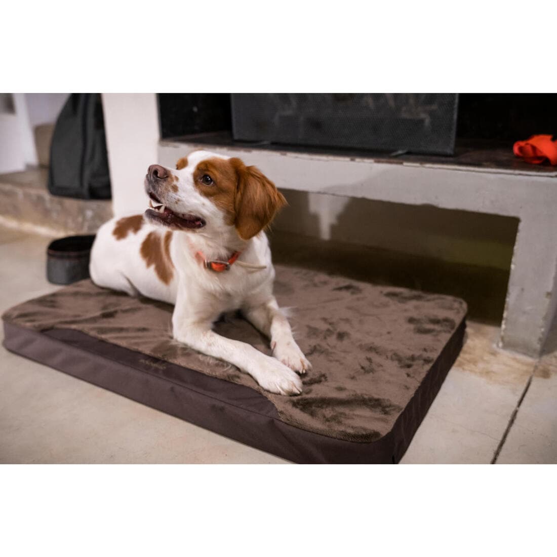 Tapis Chien épaisseur 6cm  marron 900