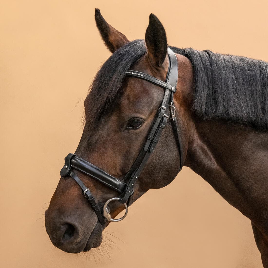 Filet équitation cuir muserolle française strass - 580 noir