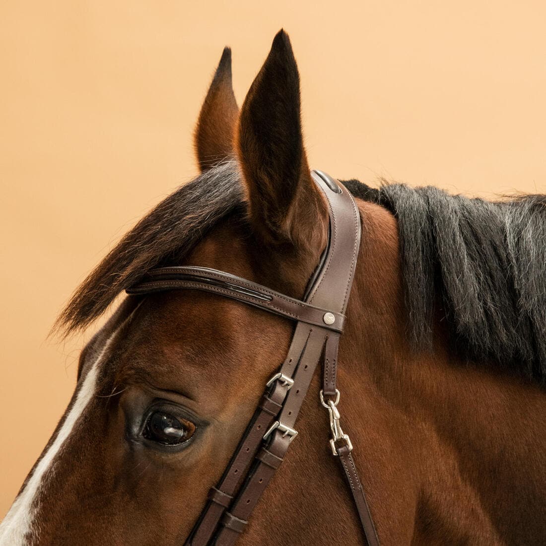 Filet équitation cuir muserolle française glossy Cheval et Poney - 580