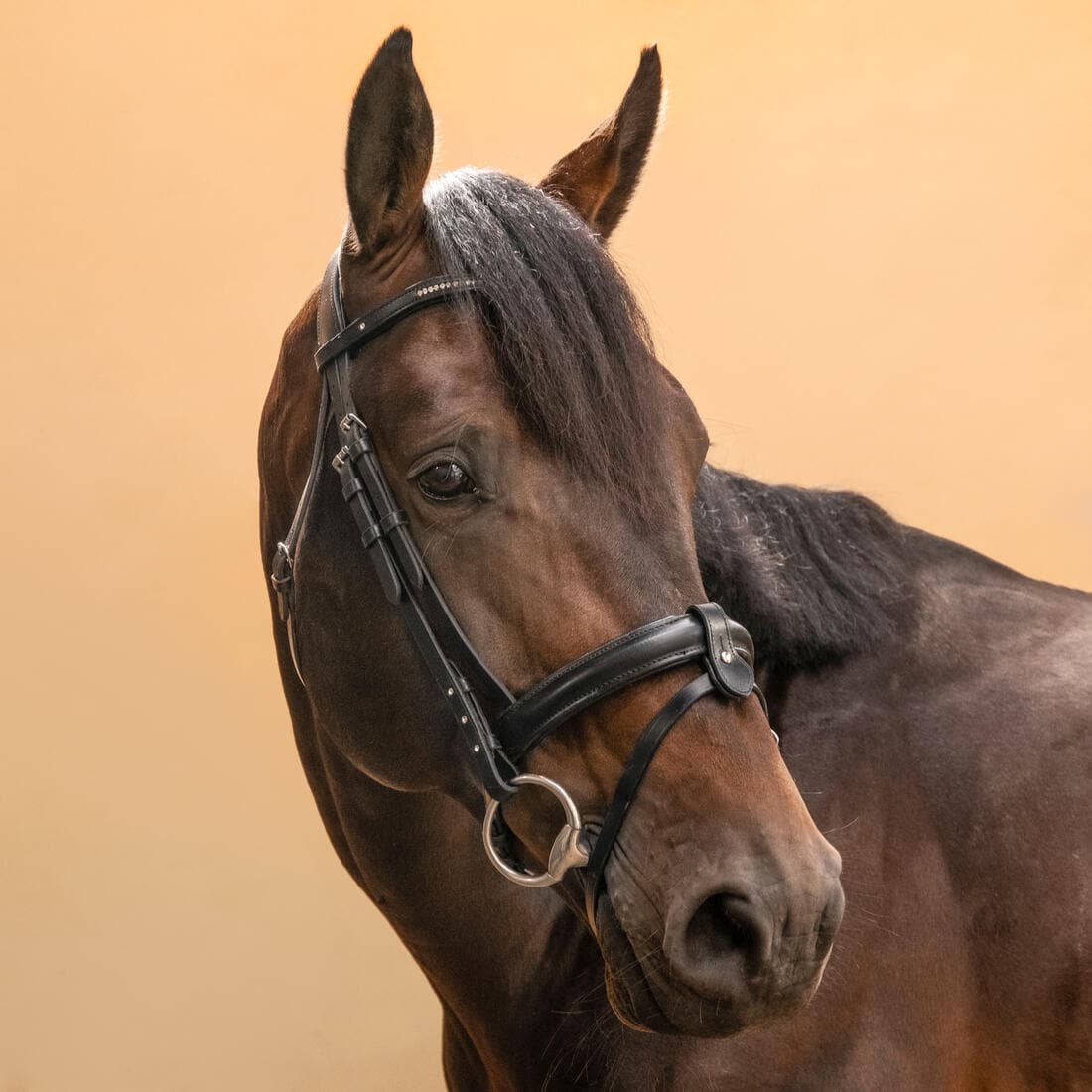 Filet équitation cuir muserolle française strass - 580 noir