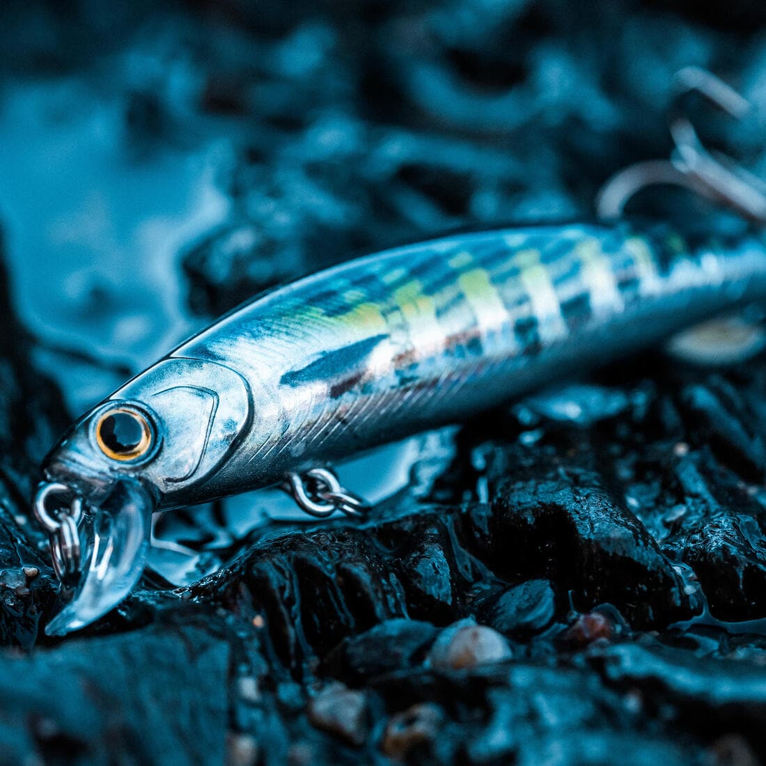 Poisson nageur SAXTON 75 F BONITO au leurre en mer