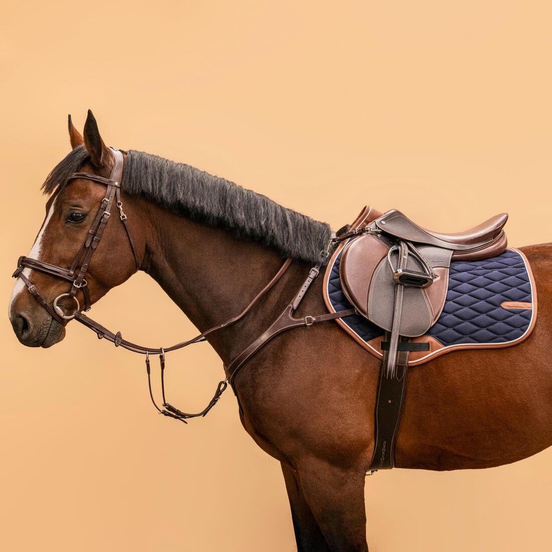 Collier de chasse 5 points Cheval et Poney - marron foncé