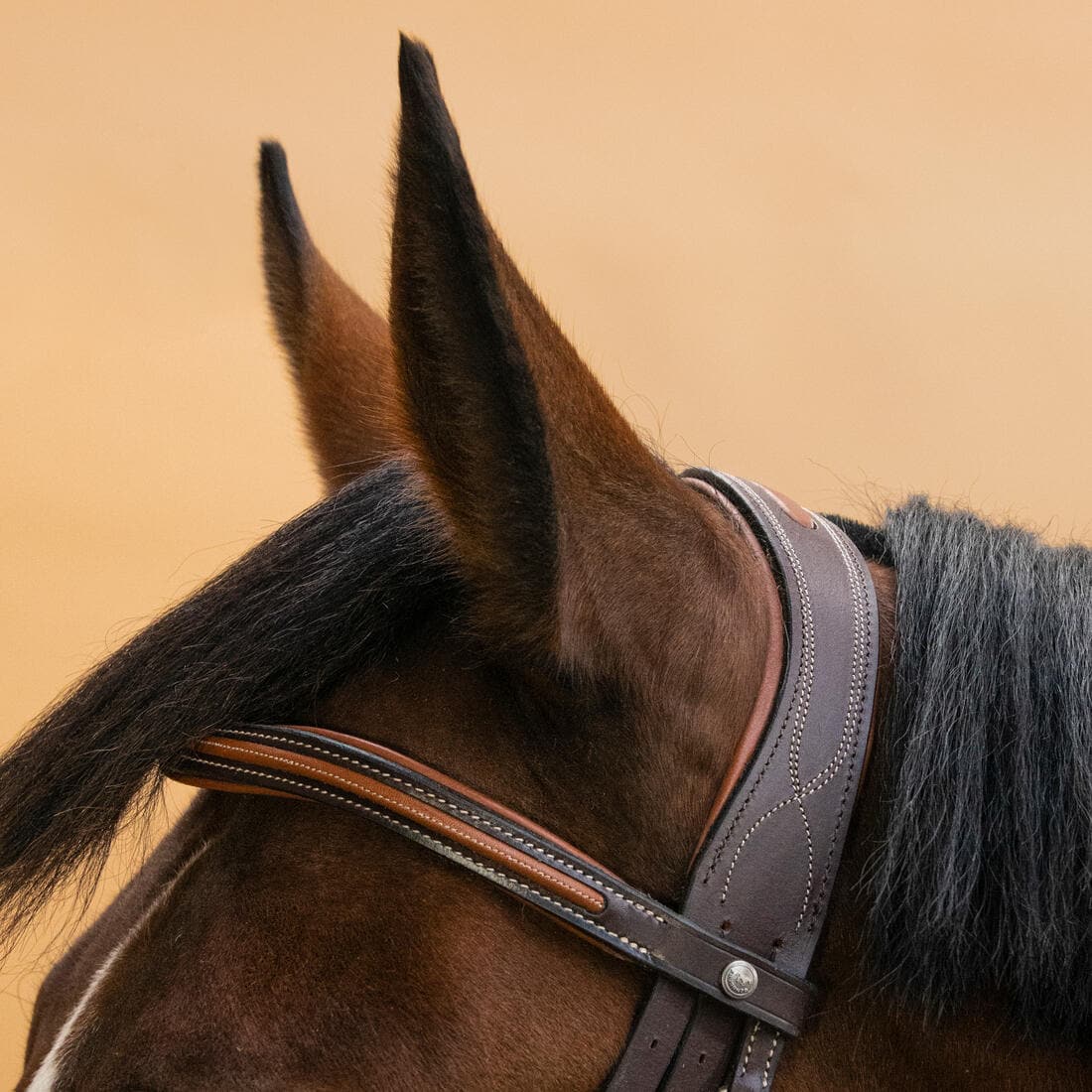 Filet équitation cuir muserolle française surpiqué Cheval et poney - 580 marron