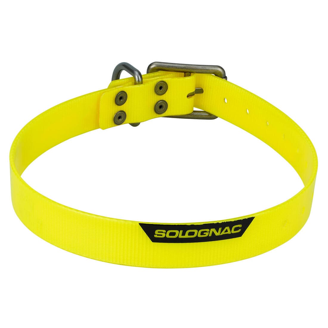 Collier chien Jaune fluo 500