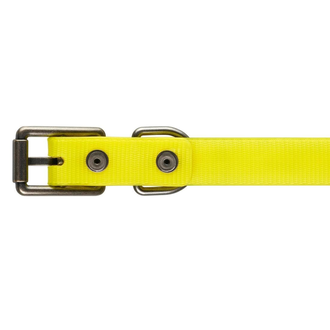 Collier chien Jaune fluo 500