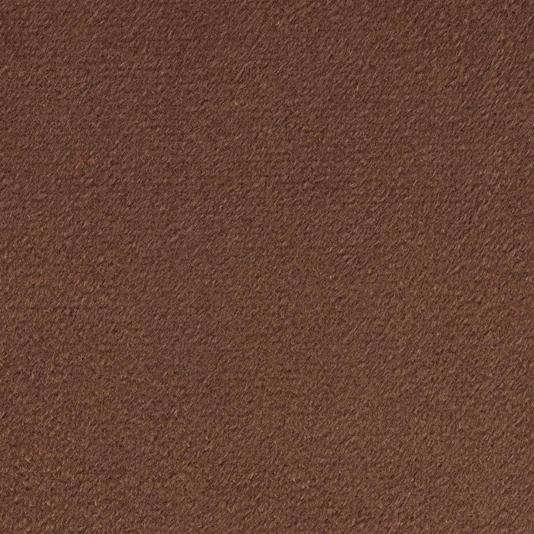 Tapis chien épaisseur 3 cm Marron 500