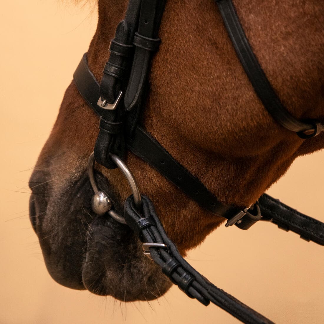 Filet et rênes équitation cuir muserolle française Cheval et Poney - 100 noir