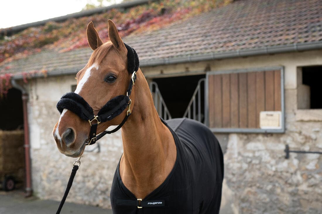 Licol équitation en mouton synthétique Cheval