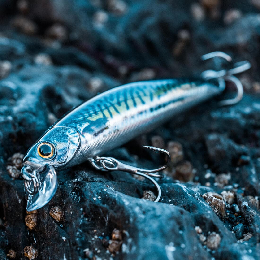 Poisson nageur SAXTON 75S au leurre en mer