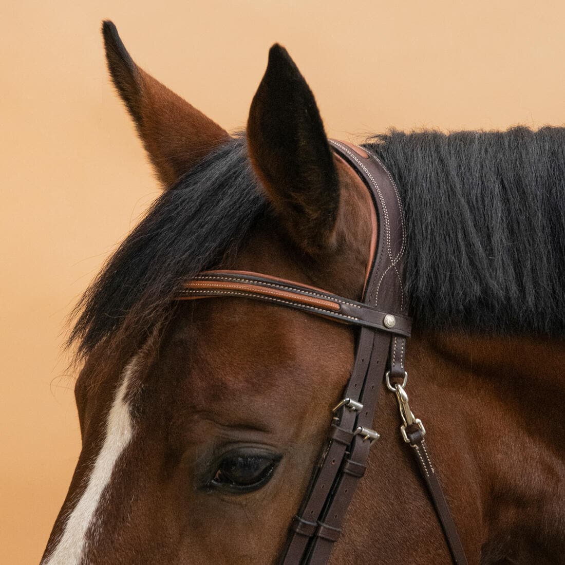 Filet équitation cuir muserolle française surpiqué Cheval et poney - 580 marron