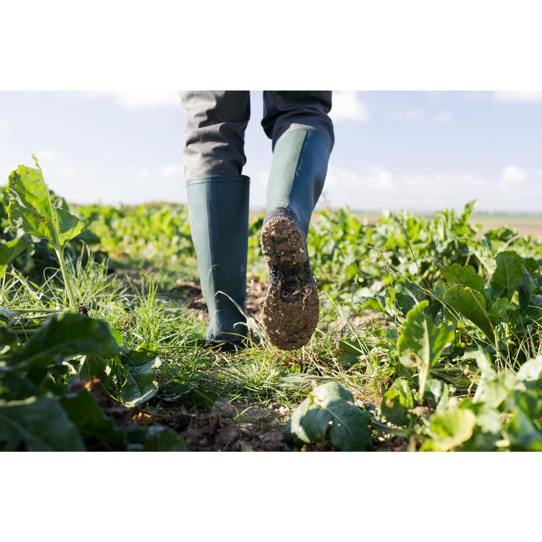 BOTTES DE PLUIE GLENARM 100 VERTES