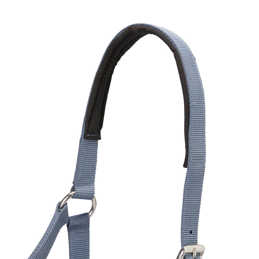 Pack licol et longe équitation Cheval - Nubuc bleu-gris