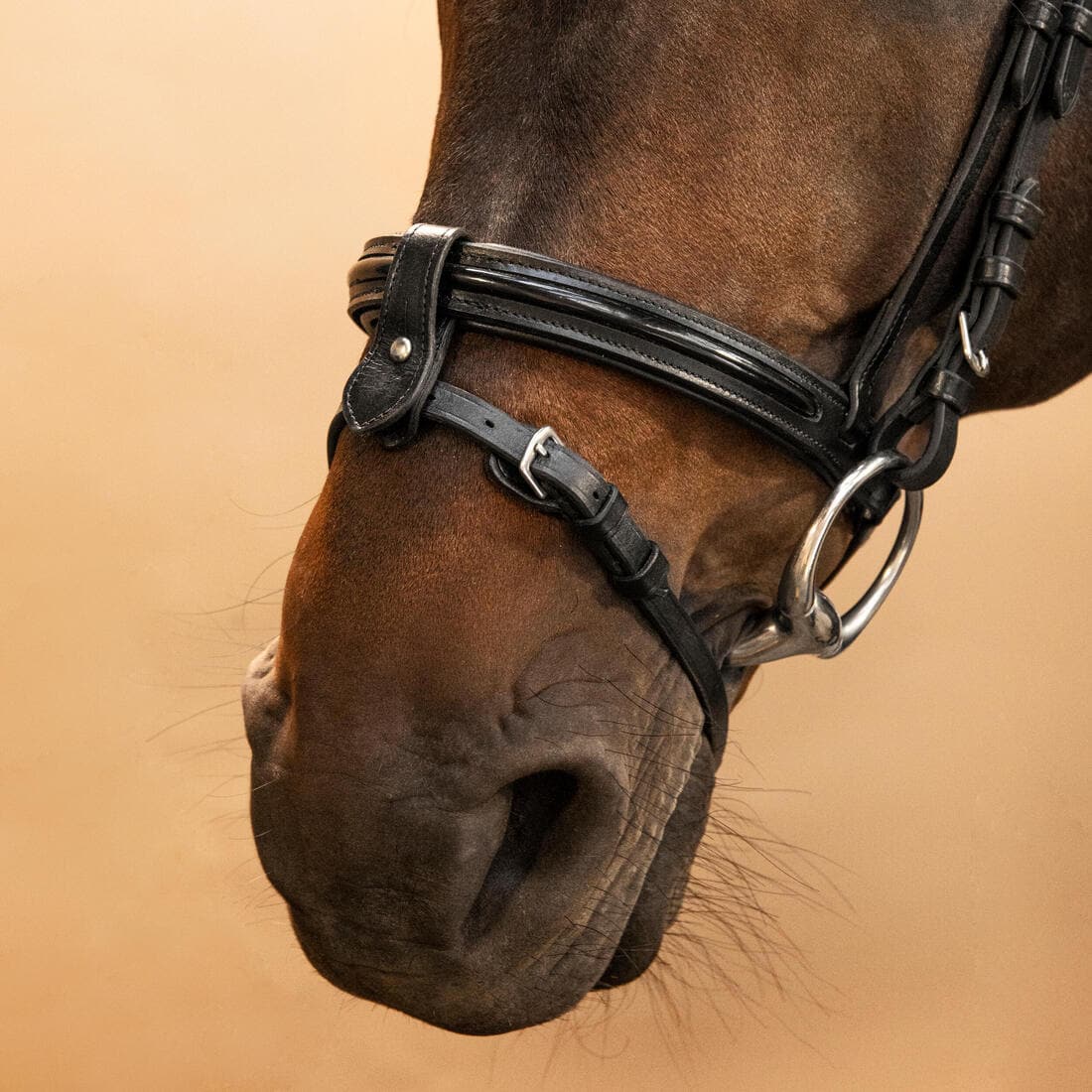 Filet équitation cuir muserolle française glossy Cheval et Poney - 580