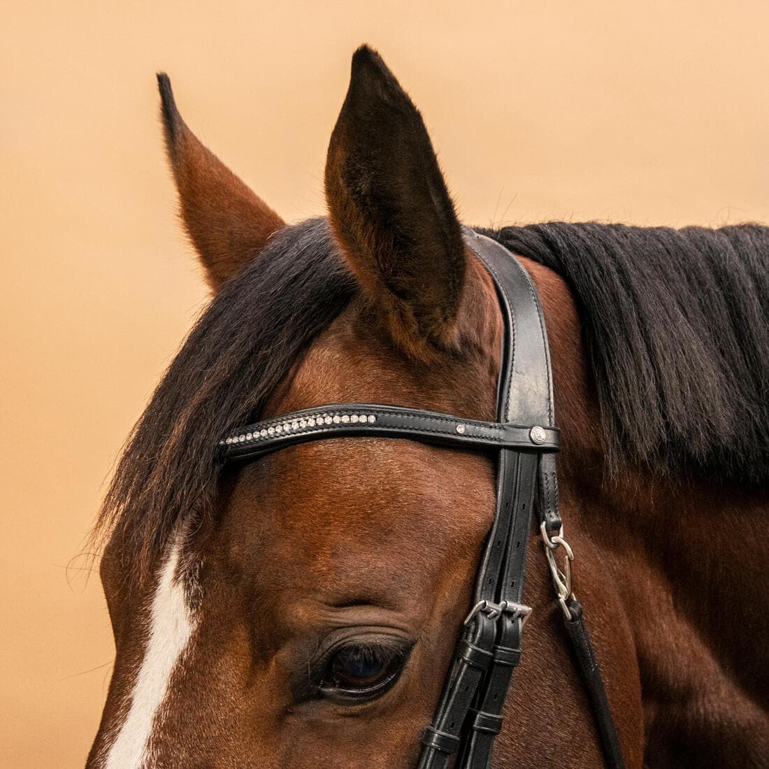 Filet équitation cuir muserolle croisée strass Cheval et Poney - 580 noir