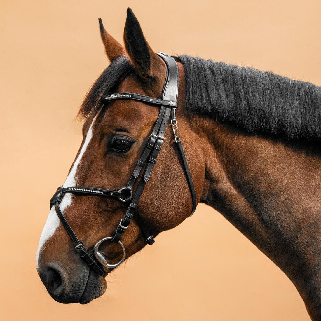 Filet équitation cuir muserolle croisée strass Cheval et Poney - 580 noir