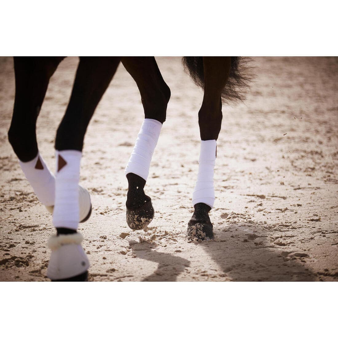 Bandes de polo équitation Cheval et Poney - blanches x4