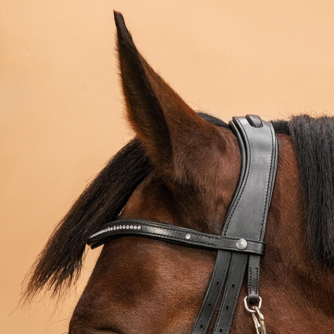 Filet équitation cuir muserolle croisée strass Cheval et Poney - 580 noir