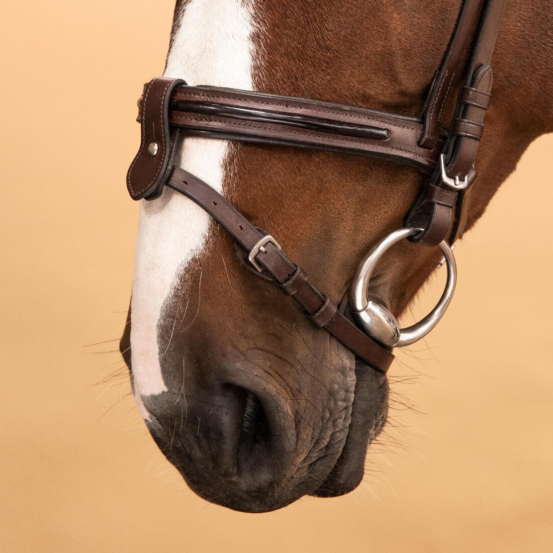 Filet équitation cuir muserolle française glossy Cheval et Poney - 580