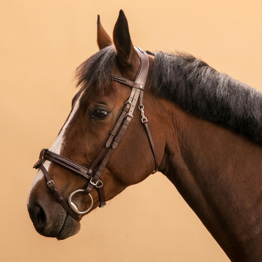 Filet équitation cuir muserolle française glossy Cheval et Poney - 580