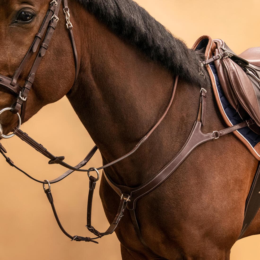 Collier de chasse 5 points Cheval et Poney - marron foncé