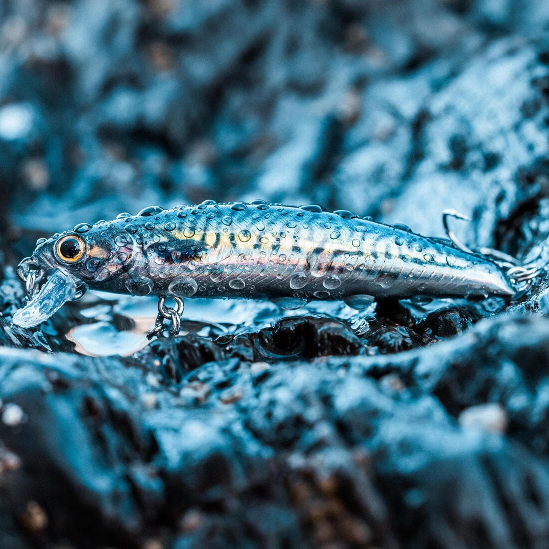 Poisson nageur SAXTON 75S au leurre en mer