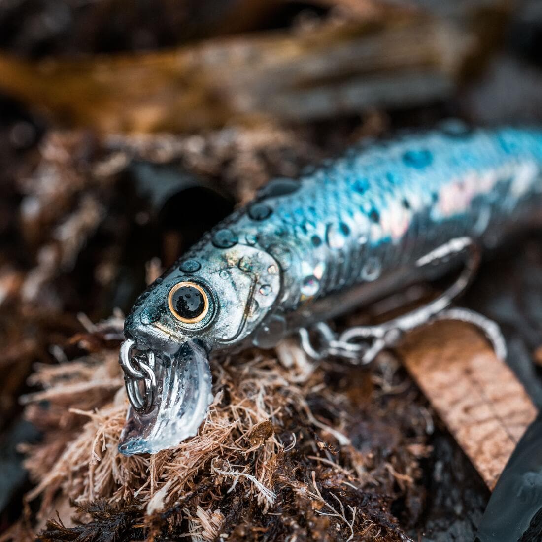 Poisson nageur SAXTON 75S au leurre en mer