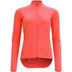 rose corail fluo