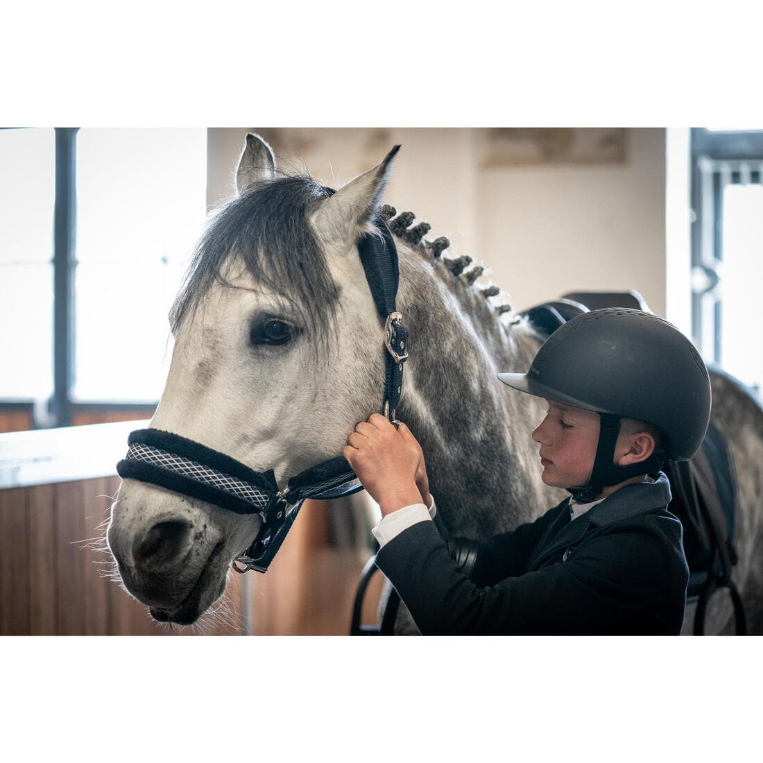 Licol équitation cheval et poney WINNER marine