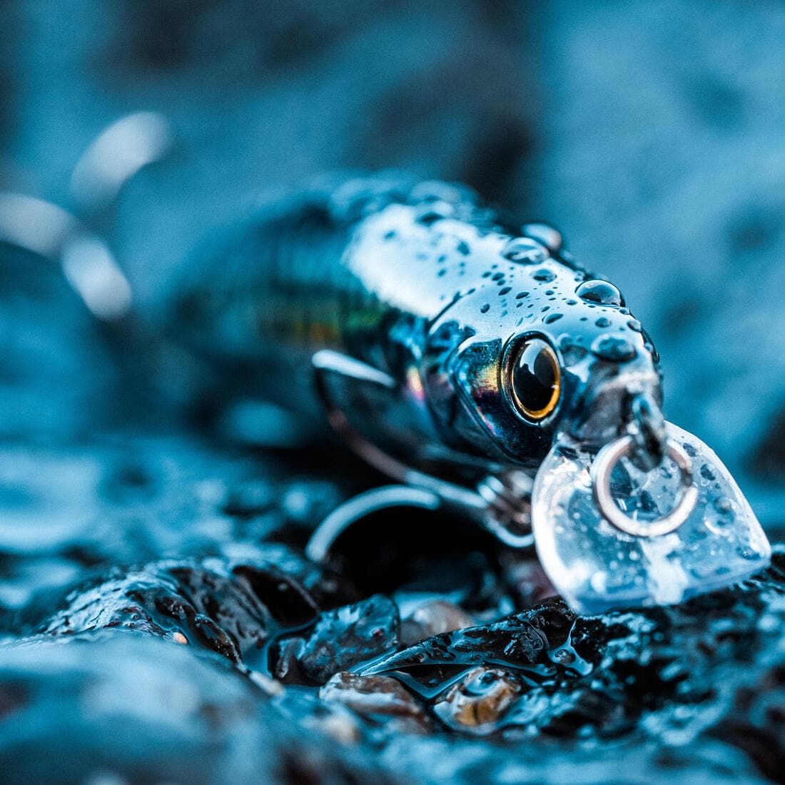 Poisson nageur SAXTON 75S au leurre en mer