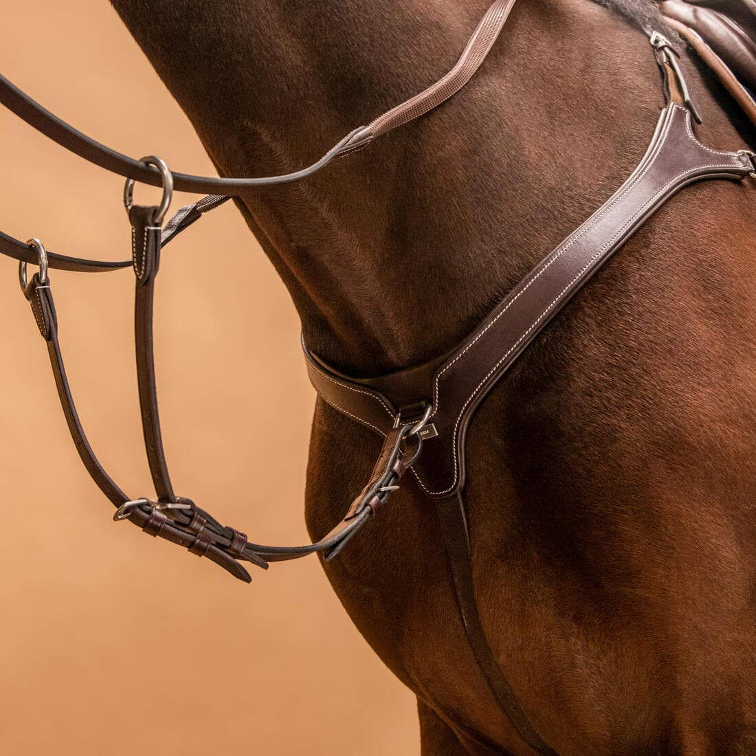 Collier de chasse 5 points Cheval et Poney - marron foncé